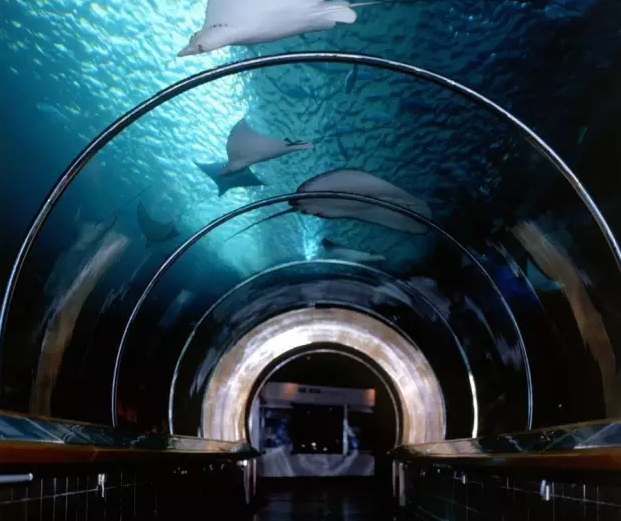 1506397949643520.png blob.png